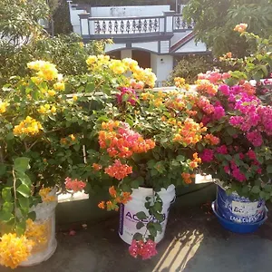 Alloggio in famiglia Heavenly, Kochi
